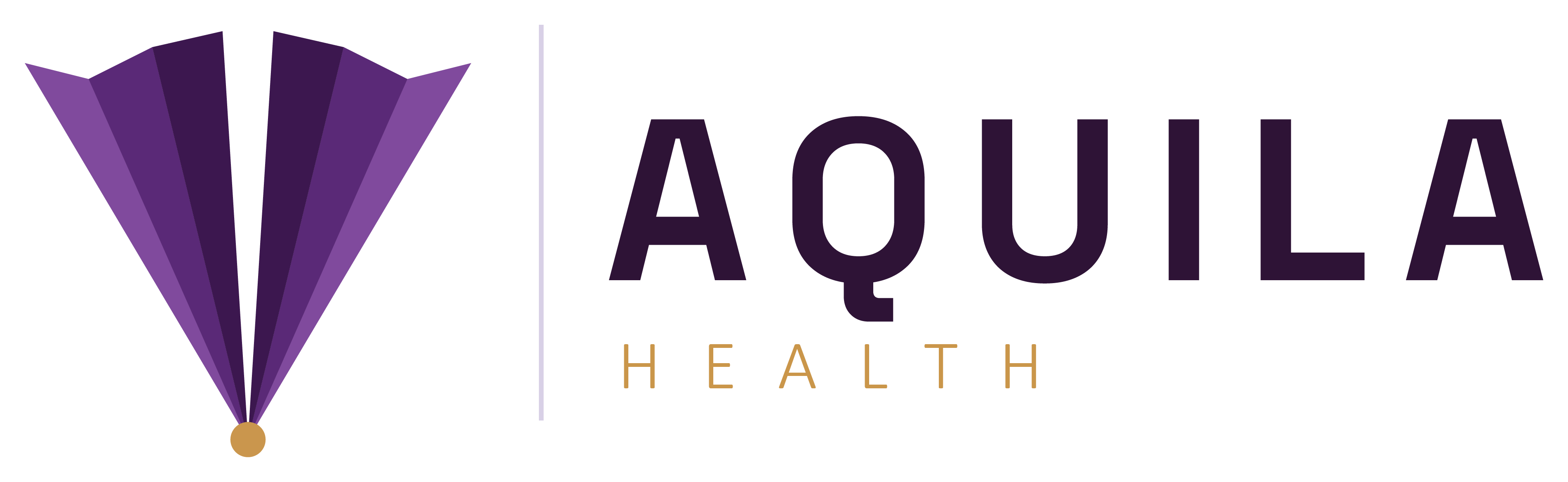 Aquila Health PBC logo